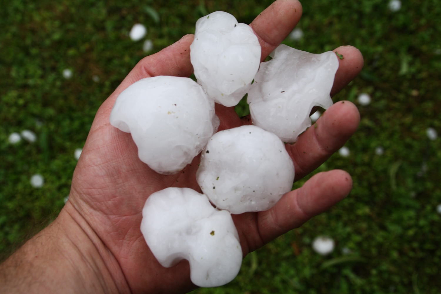 5 große Hagelkörner in einer Hand